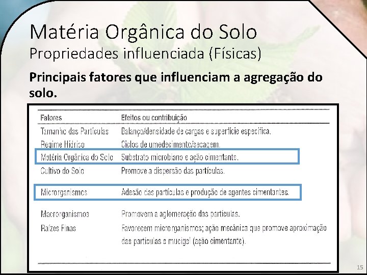 Matéria Orgânica do Solo Propriedades influenciada (Físicas) Principais fatores que influenciam a agregação do