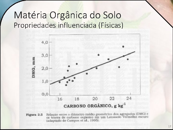 Matéria Orgânica do Solo Propriedades influenciada (Físicas) 17 