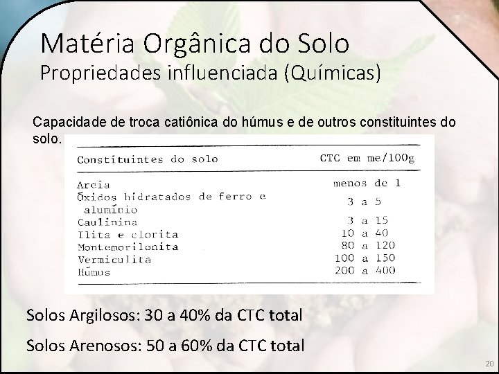 Matéria Orgânica do Solo Propriedades influenciada (Químicas) Capacidade de troca catiônica do húmus e