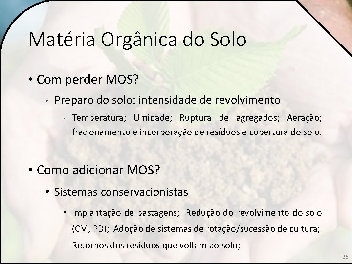 Matéria Orgânica do Solo • Com perder MOS? • Preparo do solo: intensidade de