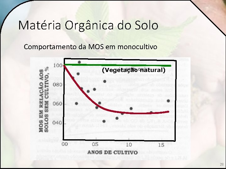 Matéria Orgânica do Solo Comportamento da MOS em monocultivo (Vegetação natural) 28 