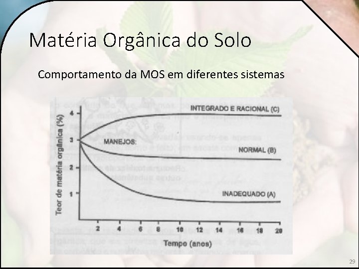Matéria Orgânica do Solo Comportamento da MOS em diferentes sistemas 29 