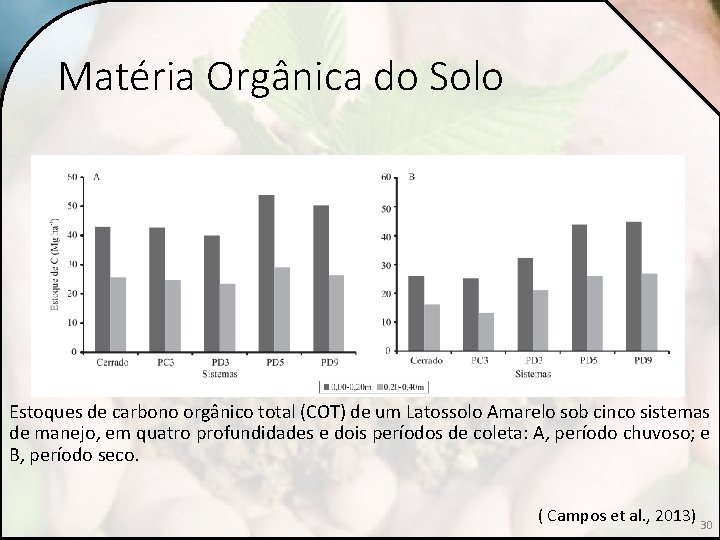 Matéria Orgânica do Solo Estoques de carbono orgânico total (COT) de um Latossolo Amarelo