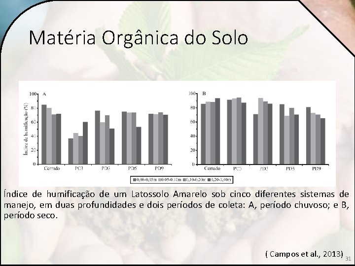 Matéria Orgânica do Solo Índice de humificação de um Latossolo Amarelo sob cinco diferentes