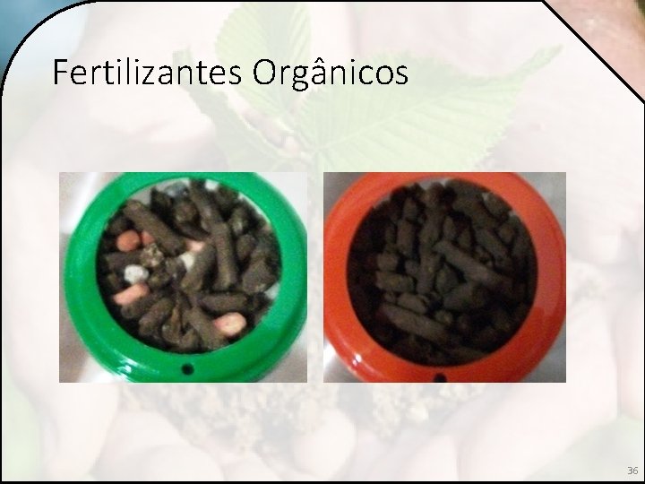 Fertilizantes Orgânicos 36 