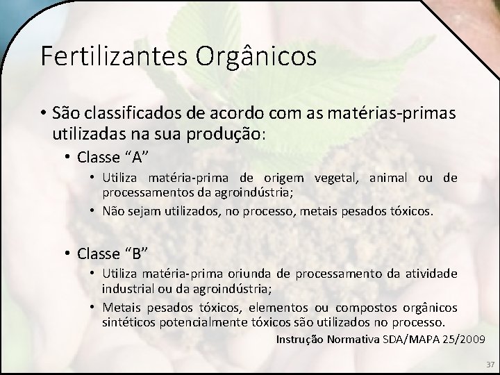 Fertilizantes Orgânicos • São classificados de acordo com as matérias-primas utilizadas na sua produção: