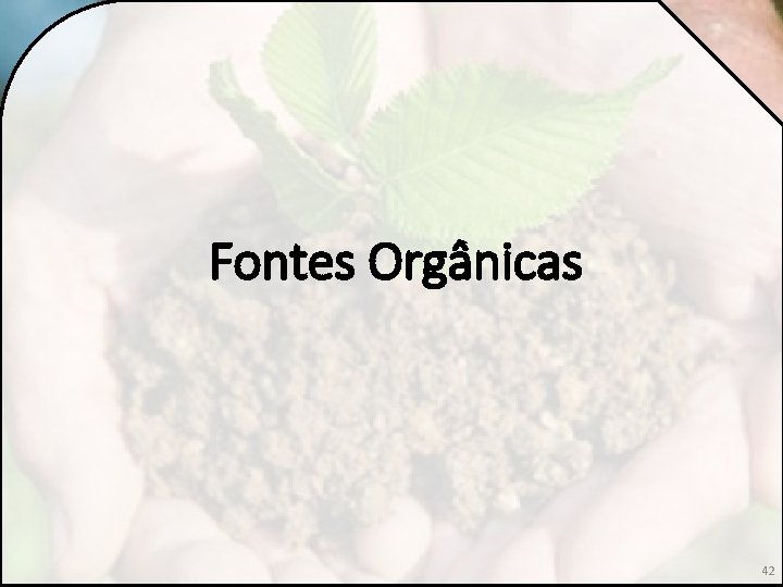 Fontes Orgânicas 42 