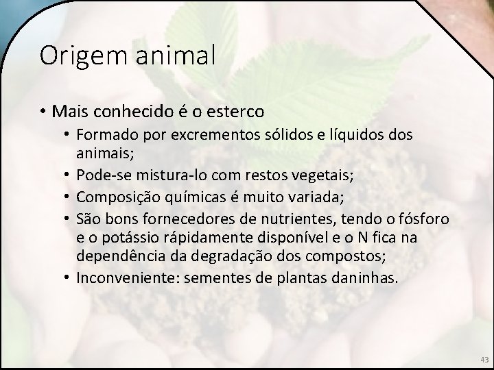 Origem animal • Mais conhecido é o esterco • Formado por excrementos sólidos e