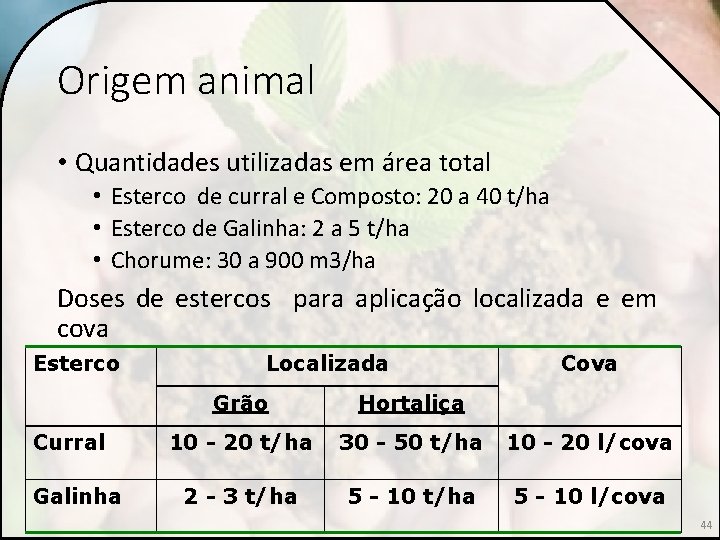 Origem animal • Quantidades utilizadas em área total • Esterco de curral e Composto: