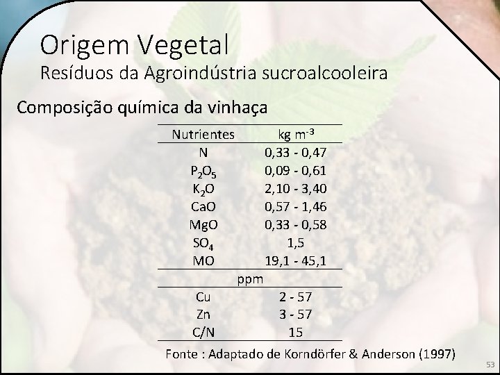 Origem Vegetal Resíduos da Agroindústria sucroalcooleira Composição química da vinhaça Nutrientes N P 2