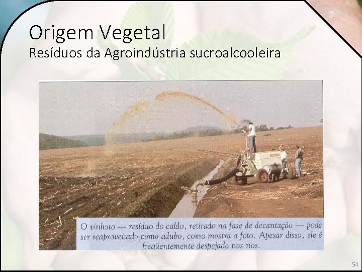 Origem Vegetal Resíduos da Agroindústria sucroalcooleira 54 