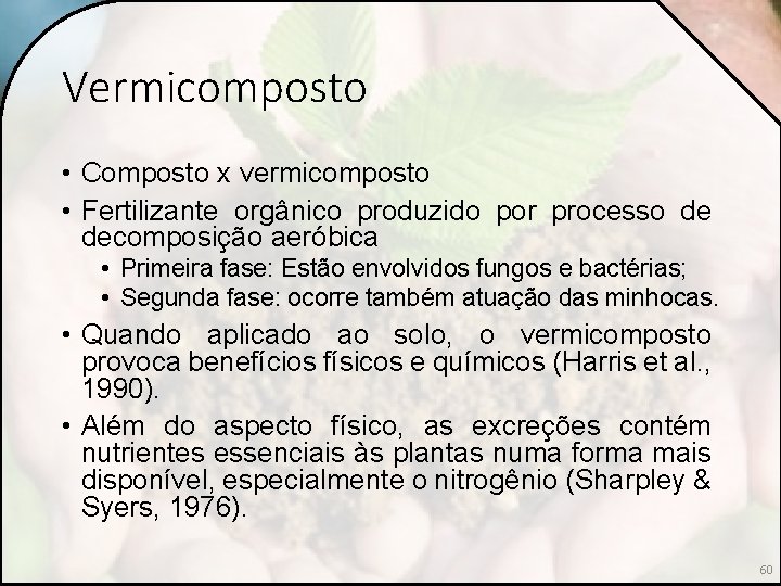 Vermicomposto • Composto x vermicomposto • Fertilizante orgânico produzido por processo de decomposição aeróbica
