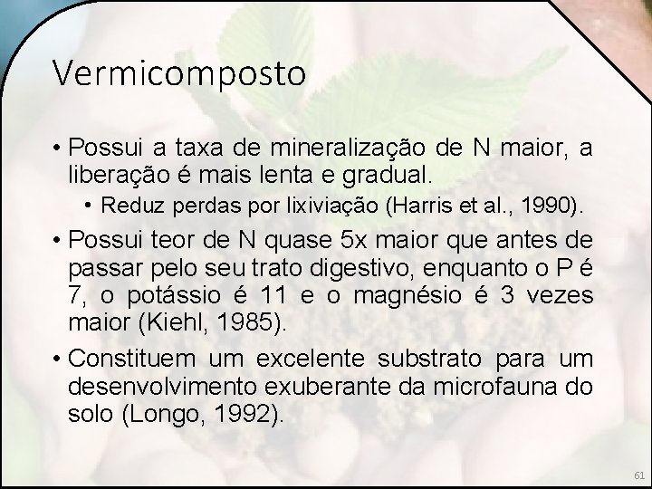 Vermicomposto • Possui a taxa de mineralização de N maior, a liberação é mais