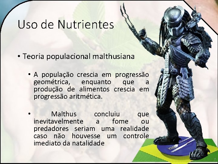 Uso de Nutrientes • Teoria populacional malthusiana • A população crescia em progressão geométrica,