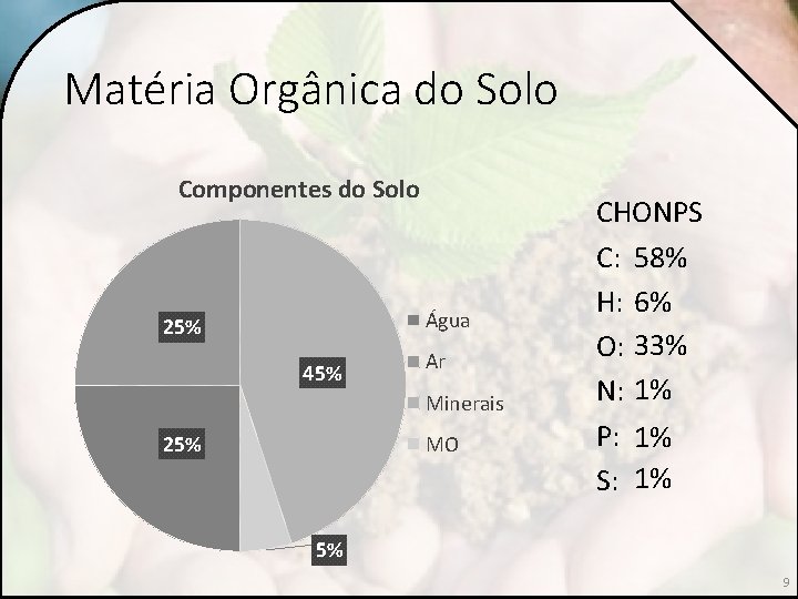 Matéria Orgânica do Solo Componentes do Solo Água 25% 45% Ar Minerais MO 25%