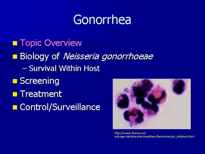 Gonorrhea n Topic Overview n Biology of Neisseria gonorrhoeae – Survival Within Host n