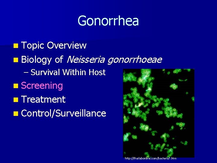 Gonorrhea n Topic Overview n Biology of Neisseria gonorrhoeae – Survival Within Host n