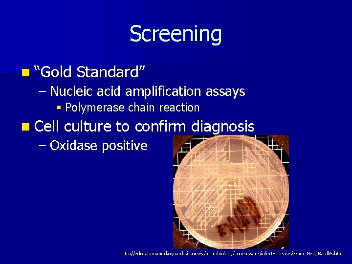 Screening n “Gold Standard” – Nucleic acid amplification assays § Polymerase chain reaction n