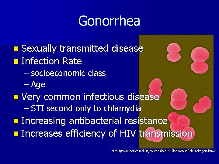 Gonorrhea n Sexually transmitted disease n Infection Rate – socioeconomic class – Age n