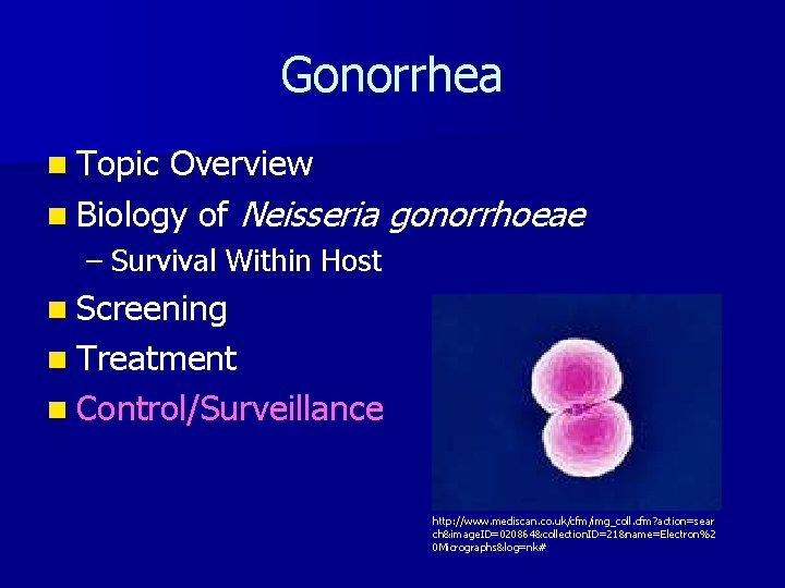 Gonorrhea n Topic Overview n Biology of Neisseria gonorrhoeae – Survival Within Host n