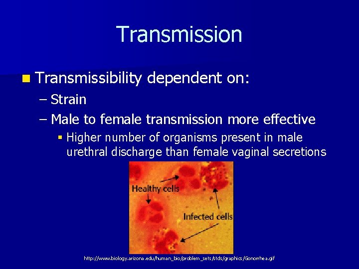 Transmission n Transmissibility dependent on: – Strain – Male to female transmission more effective