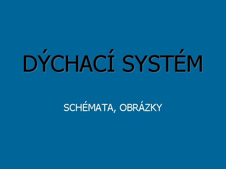 DÝCHACÍ SYSTÉM SCHÉMATA, OBRÁZKY 