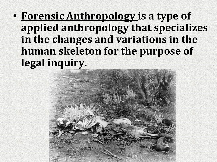  • Forensic Anthropology is a type of applied anthropology that specializes in the