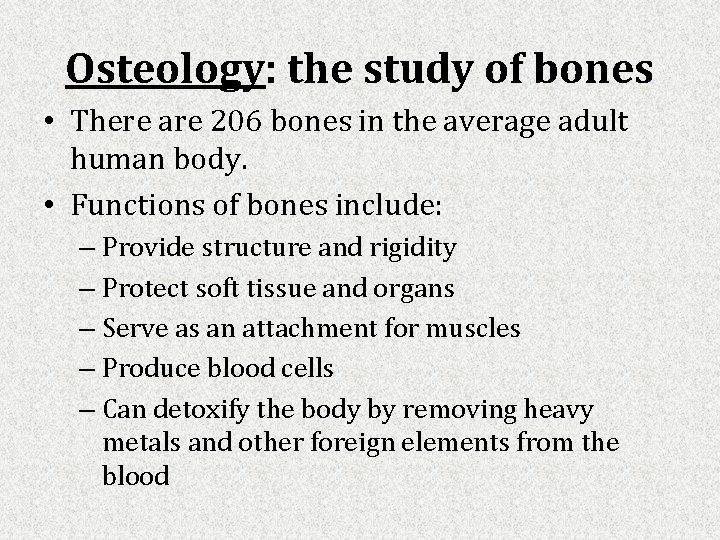 Osteology: the study of bones • There are 206 bones in the average adult