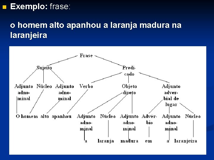 n Exemplo: frase: o homem alto apanhou a laranja madura na laranjeira 