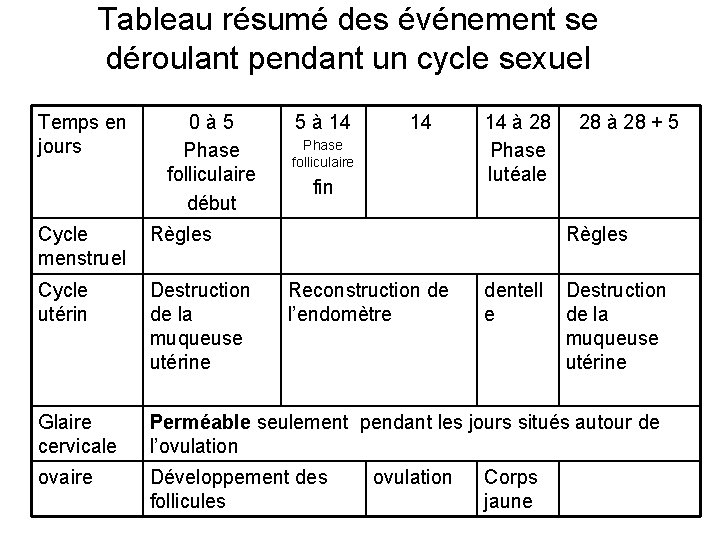 Tableau résumé des événement se déroulant pendant un cycle sexuel Temps en jours 0à