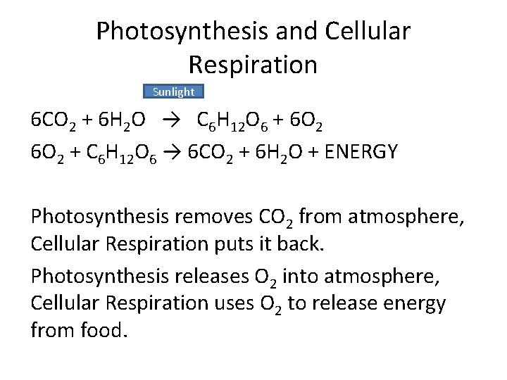 Photosynthesis and Cellular Respiration Sunlight 6 CO 2 + 6 H 2 O →