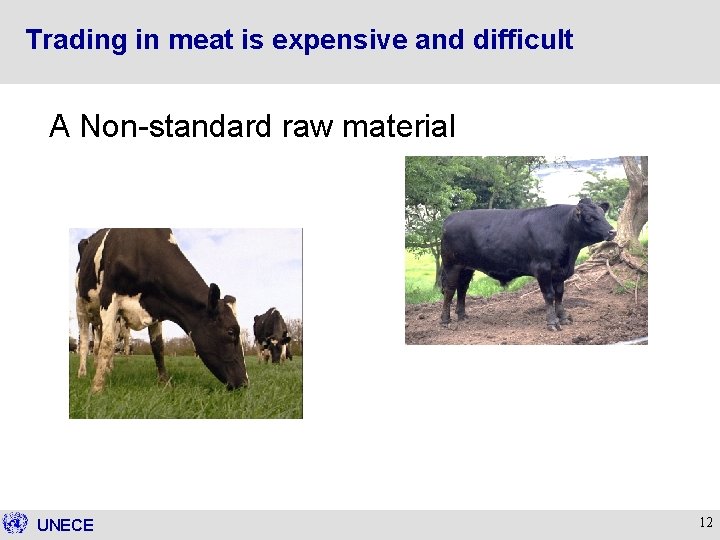 Trading in meat is expensive and difficult A Non-standard raw material UNECE 12 