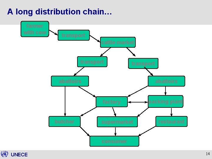 A long distribution chain… farmer with cow transport cattle market transport abattoirs factory butcher