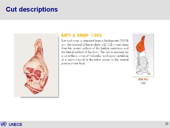 Cut descriptions UNECE 30 