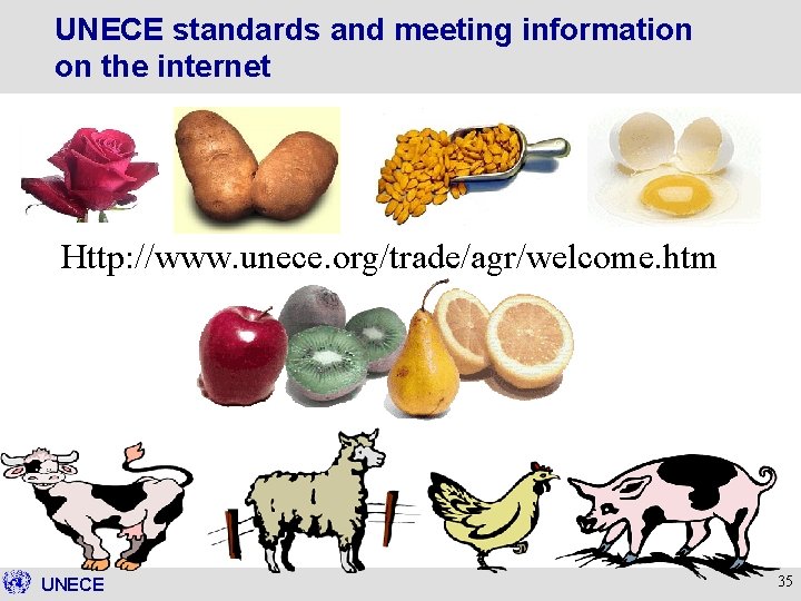 UNECE standards and meeting information on the internet Http: //www. unece. org/trade/agr/welcome. htm UNECE