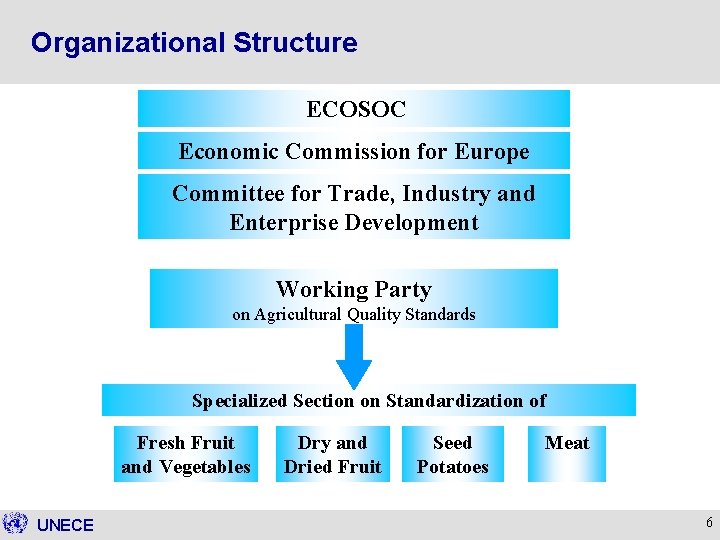 Organizational Structure ECOSOC Economic Commission for Europe Committee for Trade, Industry and Enterprise Development