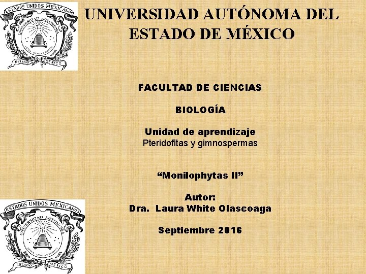 UNIVERSIDAD AUTÓNOMA DEL ESTADO DE MÉXICO FACULTAD DE CIENCIAS BIOLOGÍA Unidad de aprendizaje Pteridofitas UNIVERSIDAD AUTÓNOMA DEL ESTADO DE MÉXICO FACULTAD DE CIENCIAS BIOLOGÍA Unidad de aprendizaje Pteridofitas