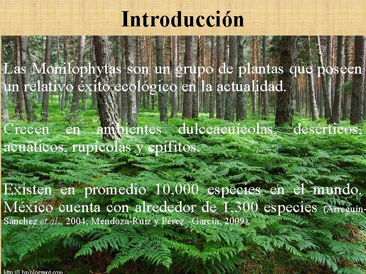 Introducción Las Monilophytas son un grupo de plantas que poseen un relativo éxito ecológico Introducción Las Monilophytas son un grupo de plantas que poseen un relativo éxito ecológico