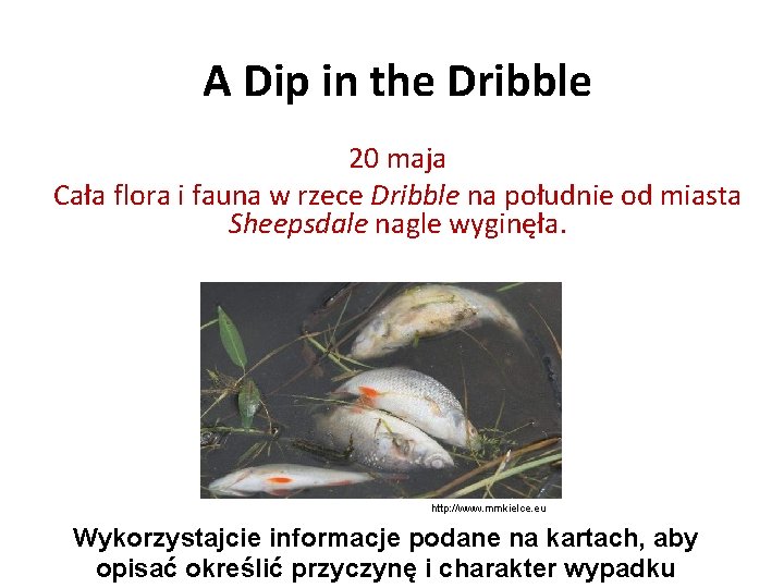 A Dip in the Dribble 20 maja Cała flora i fauna w rzece Dribble