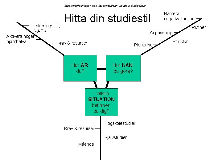 Studievägledningen och Studenthälsan vid Malmö högskola Inlärningsstil, VARK Aktivera höger hjärnhalva Hitta din studiestil