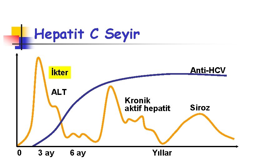 Hepatit C Seyir Anti-HCV İkter ALT 0 3 ay Kronik aktif hepatit 6 ay