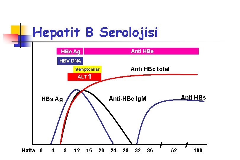 Hepatit B Serolojisi Anti HBe Ag HBV DNA Anti HBc total Semptomlar ALT Hafta