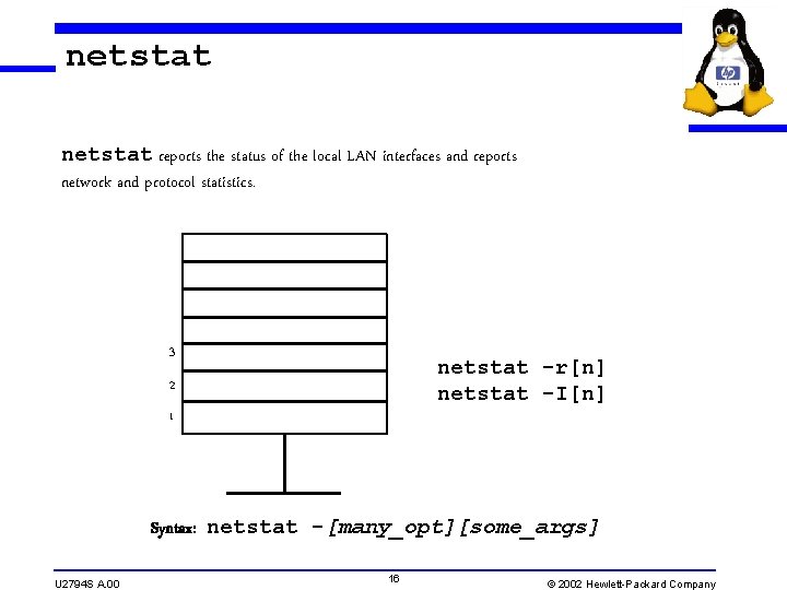 netstat reports the status of the local LAN interfaces and reports network and protocol netstat reports the status of the local LAN interfaces and reports network and protocol