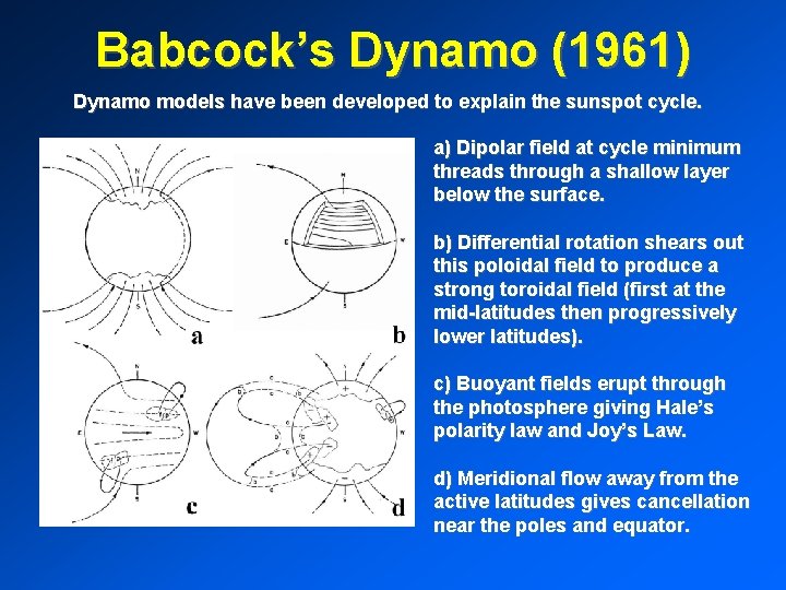 Babcock’s Dynamo (1961) Dynamo models have been developed to explain the sunspot cycle. a)