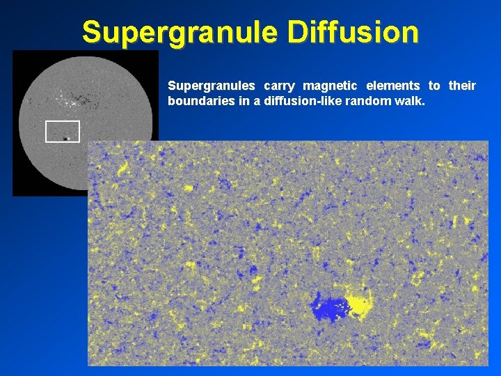 Supergranule Diffusion Supergranules carry magnetic elements to their boundaries in a diffusion-like random walk.