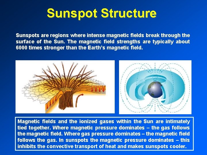 Sunspot Structure Sunspots are regions where intense magnetic fields break through the surface of