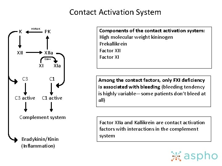 Contact Activation System HMWK K Components of the contact activation system: High molecular weight