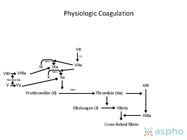 Physiologic Coagulation VII TF Ca++ IX VIIIa Thrombin (IIa) V VIIa IXa Ca++ X