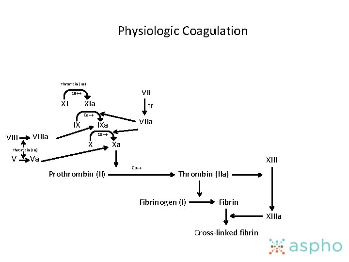 Physiologic Coagulation Thrombin (IIa) VII Ca++ XI XIa TF Ca++ IX VIIIa Thrombin (IIa)