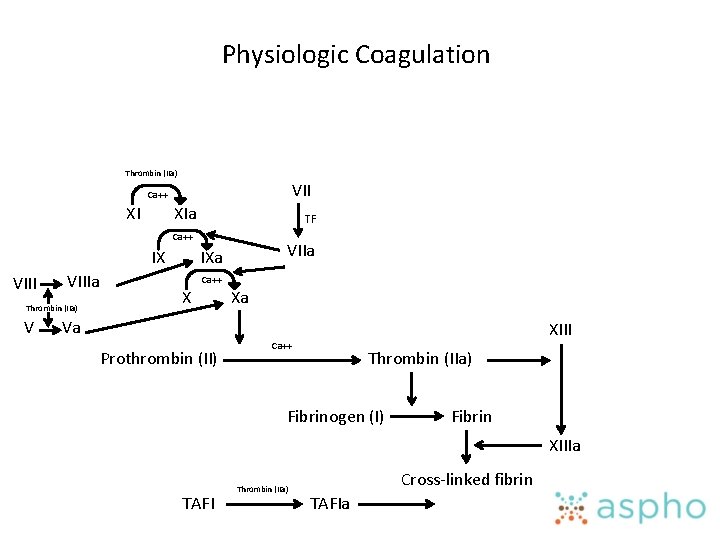 Physiologic Coagulation Thrombin (IIa) VII Ca++ XI XIa TF Ca++ IX VIIIa Thrombin (IIa)